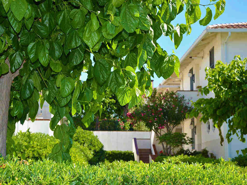 surrounds of holiday apartments in sitges