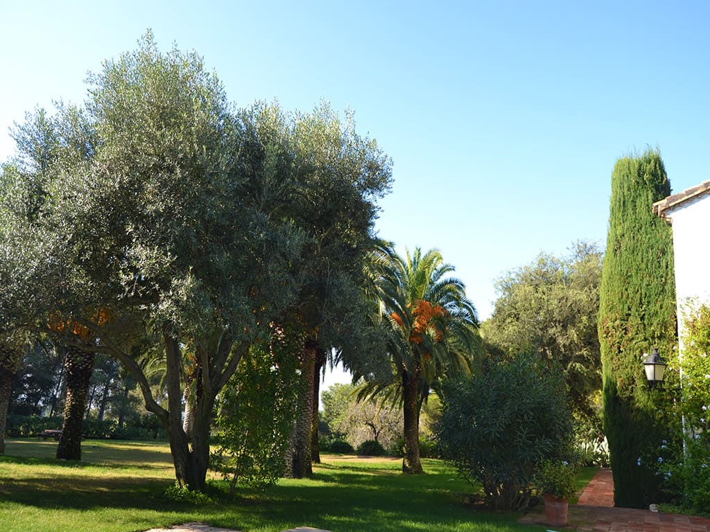 spanish farmhouse and its luxuriant surroundings of nature