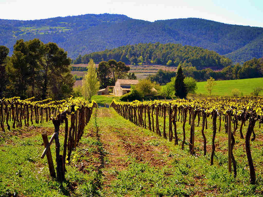 The Penedés, wine region of Sitges